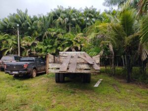 PF combate extração e comercialização ilegal de madeiras de terras indígenas no Maranhão