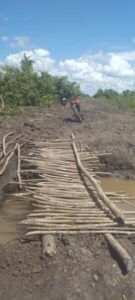 Situação crítica na zona rural de Cajari faz populares improvisarem “ponte” de galhos