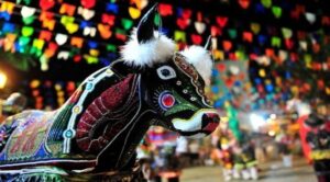 Bumba-meu-boi pode virar patrimônio cultural da humanidade…