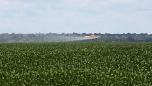 Ataques químicos: os agrotóxicos que caem do céu no Maranhão