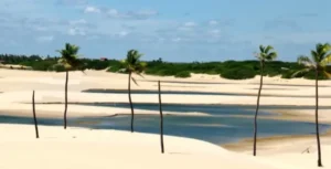 Decisão judicial barra instalação de parque eólico na APA Delta do Parnaíba, em Tutóia