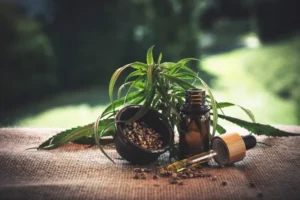 Pesquisa Ipec: 69% dos brasileiros são contra descriminalizar maconha para uso pessoal