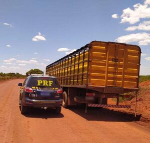 Gaeco deflagra operação “Rei do Gado” para combater venda fraudulenta e sonegação fiscal no Maranhão