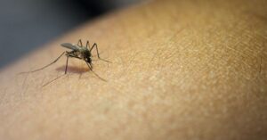 Maranhão tem primeiro caso de óbito por dengue confirmado, em São Luís