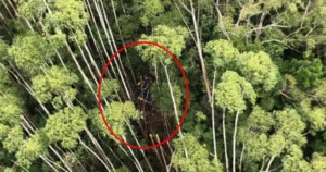 Helicóptero que sumiu com 4 a bordo é encontrado em Paraibuna (SP)