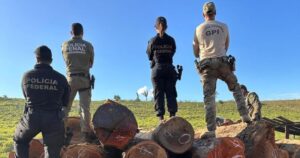 Polícia Federal deflagra operação contra madeireiras ilegais localizadas nos municípios de Buriticupu e Bom Jesus das Selvas/MA