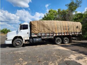 PRF apreende veículo e carga de madeira transportada irregularmente na BR 316