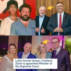Elon Musk cita Flávio Dino ‘do partido comunista’