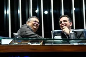 O voo de Dino no Senado