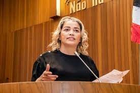 Homem é preso por jogar gato para o ar como punição por mexer em sua comida
