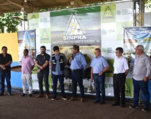 Por iniciativa do Pecuarista Paulo Lira, Sindicato dos Produtores Rurais Açailândia planeja enviar uma carreta com 50 cabeças de gado para Porto Alegre