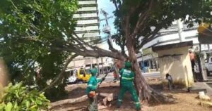 A enrascada dos diabos em que Braide se meteu com a “Cidade do Carnaval”…