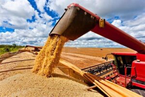 Taxa de fiscalização de transporte de grãos no Maranhão é invalidada