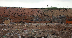 Prefeitura de São Luís deve identificar e cobrar empresas que usaram Aterro da Ribeira