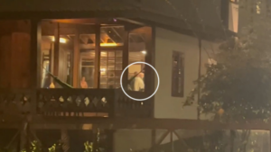 Gilmar Mendes recebe Lula, Janja e Zanin para jantar