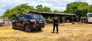 URGENTE! PF prende três pessoas no Maranhão