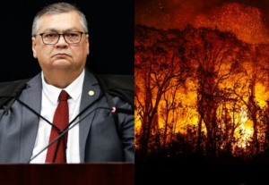 Dino manda PF, PRF e Força Nacional reforçarem combate a incêndios
