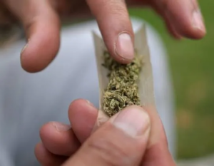 DPE quer revogar sanções a apenados por porte de maconha no MA