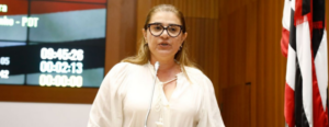 Deputada detona Rubens Pereira: ‘Desarticulador’, ‘pai da mentira’