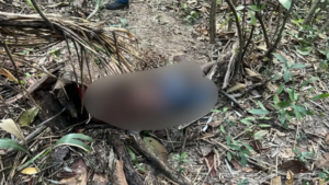 Cabo eleitoral de Tati Pereira é assassinado no Coroadinho