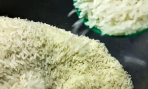 Governo anula leilão e cancela compra de arroz importado após denúncias
