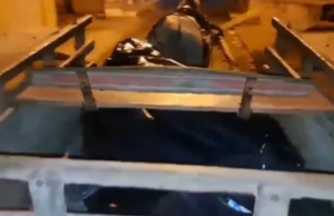 Vídeo: Corpo de homem morto a facadas é transportado em carroça devido à falta de rabecão em Imperatriz
