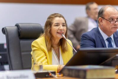 Assembleia promulga Resolução Legislativa que trata de eleição da Mesa Diretora