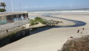 Maranhão é nota zero em sustentabilidade ambiental, aponta ranking