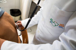 Número de profissionais que atuam no Mais Médicos aumenta 105% em 2023