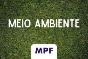 MPF e IBAMA obtém condenação de dois réus por desmatamento ilegal no município de Jatobá (MA)