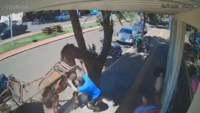 ASSISTA! Burro morde vereador que caminhava pela calçada no Paraná