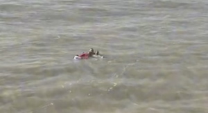 Jovens pesquisadores que ficaram ilhados na Praia da Guia são resgatados pelo CTA; veja imagens