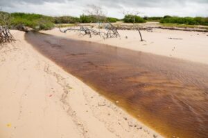 Praias de São Luís e Atins estão entre as mais poluídas do Maranhão; Apenas duas na Ilha são consideradas seguras para o banho
