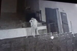 Vídeo: diretor é flagrado fazendo sexo em anfiteatro de escola