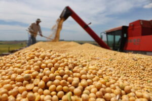 PIB do Maranhão é um dos que mais avançam em 20 anos