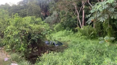 Carro derruba poste, invade área de vegetação e cai em lago em São Luís