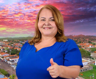 Cautelar do TCE suspende pregão eletrônico da prefeitura de Lima Campos
