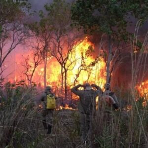 Maranhão Sem Queimadas contabiliza mais de 3,5 mil ações e intensifica atividades