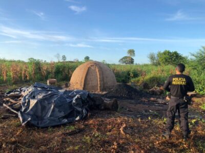 PF prende madeireiros no Maranhão por extração ilegal em terras indígenas