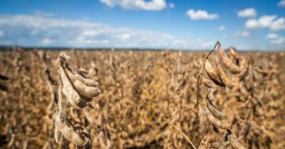 Cidades do Maranhão têm baixo desempenho em sustentabilidade