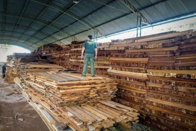 Prefeito do interior do Maranhão é acusado de desviar madeira doado pelo IBAMA após apreensão