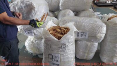 Apreendida mais de 1 tonelada de bexiga natatória no aeroporto de São Luís