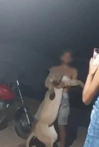 Polícia procura homem que aparece exibindo uma onça após matar o animal no MA