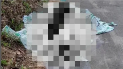 Homem que matou e esquartejou cachorro é morto a tiros em Axixá