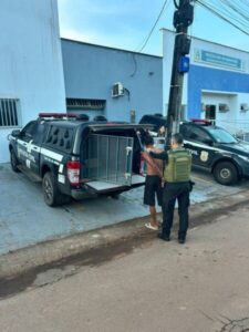 Polícia realiza operação na Baixada contra faccionados