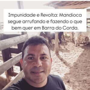 Impunidade e Revolta: Mandioca segue arrufando em Barra do Corda