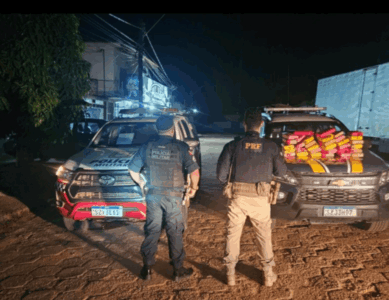 PRF apreende mais de 35 kg de skunk que seriam transportados ao Maranhão escondidos em fundo falso de veículo na BR-230