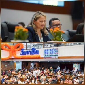 Homenagem ao Dia da Família lota plenário da Assembleia Legislativa do Maranhão