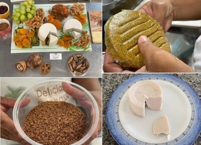 Quebradeiras de coco da Baixada Maranhense e pesquisadores criam hambúrguer de babaçu e farinha de amêndoas