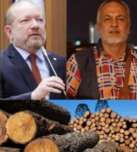 O que Othelino e Aziz Júnior fizeram com 22 mil metros cúbicos de madeira?